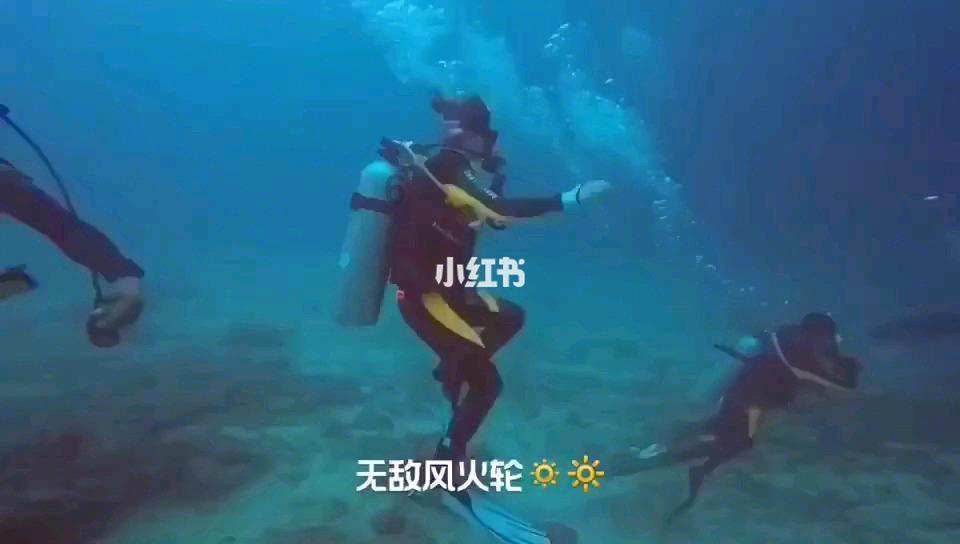 救援老画家