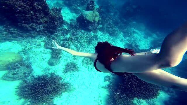 逃离椰子岛