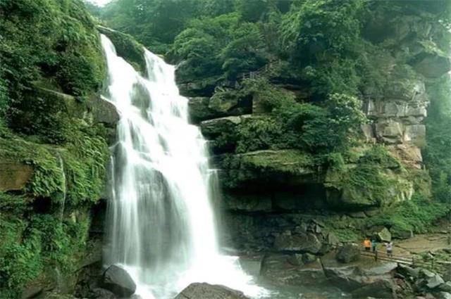 王傲世的梦